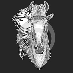 Horse, hoss, knight, steed, courser. Wild west. Traditional american cowboy hat. Texas rodeo. Print for children, kids t