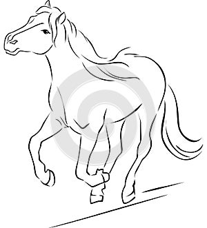 Horse Illustration Black Sketch Running - Vector
