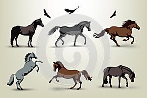 Horse illustrations