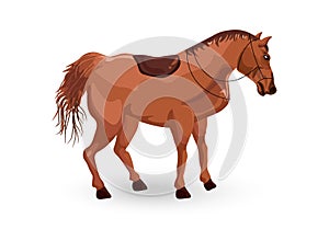 Horse isolated Vector. Detailed animal illustration