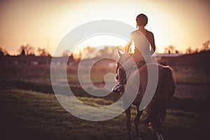 Horse and its rider walking towards sunset. Equestrian sport theme