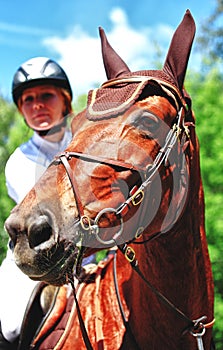 Horse with jockey