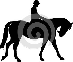 Horse and jockey