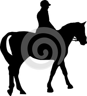 Horse and jockey