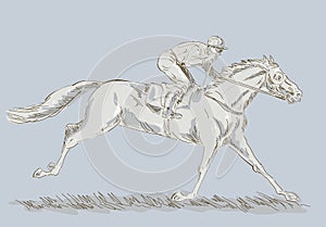 Horse and jockey in a race