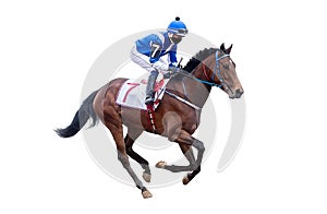 Horse jockey racing isolated on white background in blue jacket riding photo