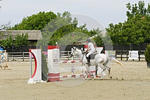 Equitation contest, horse jumping over obstacle