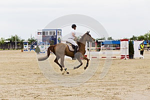 Equitation contest, horse jumping over obstacle