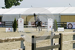 Equitation contest, horse jumping over obstacle photo