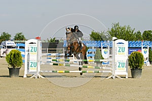 Equitation contest, horse jumping over obstacle