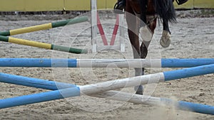 Horse jump over obstacle. Slow motion .Back view