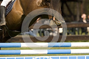 Horse Jumping 004