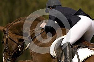 Horse Jumping 010