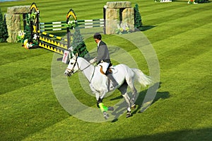 Horse jumping