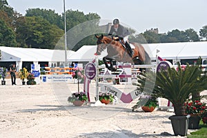 Horse Jumping