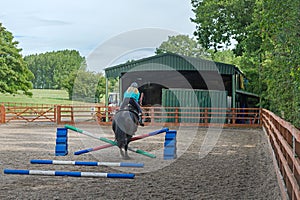 Horse jumping