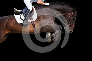 Horse jumping on black background.