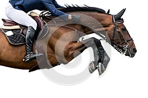 Un caballo saltando ecuestre Deportes aislado sobre fondo blanco 