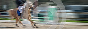 Horse Jumping, Equestrian Sports, Show Jumping Competition panoramic background with motion blur