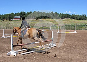 Horse jumping a fence.