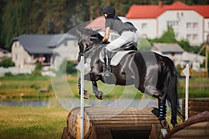 Horse jumping during horse eventing cross-country in the morning in summer