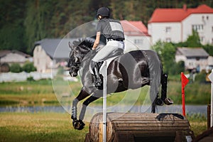 Horse jumping during horse eventing cross-country in the morning in summer