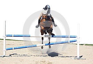 Horse jumping, isolated