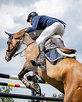 Horse jumping jockey riding a horse with a blue sky background, Show Jumping, Equestrian Sports.