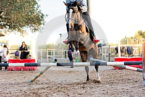 Horse jumping an obstacle during training session