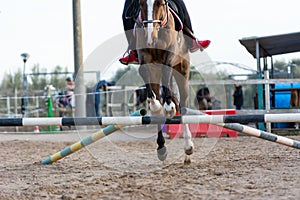 Horse jumping an obstacle during training session