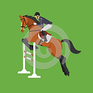 Horse Jumping Over Fence, Equestrian sport