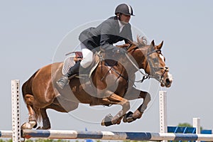 Horse jumping show