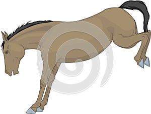 Horse Kicking Illustration