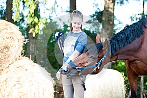 Horse kisses her owner- young lady`s hand.