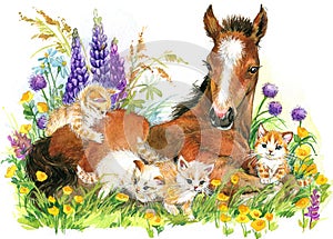 Horse and and kittens. background with flower. illustration