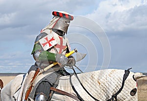The horse knight