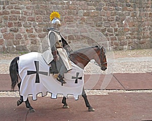 The horse knight in an armor