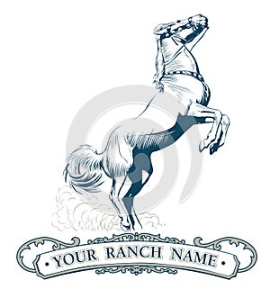 Horse label vintage