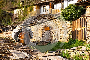 Horse laden with bags in Leshten village, Bulgaria