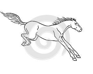 A horse landing after a jump - vector linear picture for coloring or pictogram. Horse after the jump. Outline. Hand drawing.