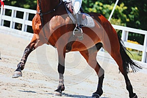 Horse legs close up. Horses volte before a fence. Show jumping. Horse pass the line to barrier