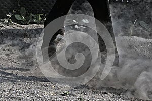 Horse legs in grey dust, detail of horse hoof in dusty gravel. Horse in motion