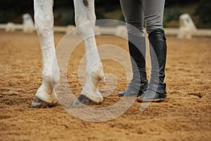 Horse legs and human legs