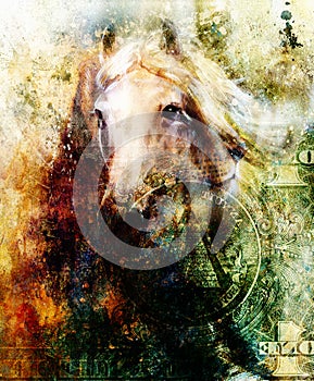 Horse and lion heads, abstract ocre background