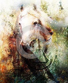 Horse and lion heads, abstract ocre background photo