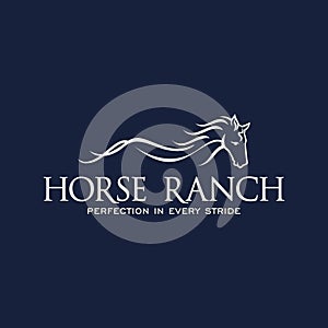 Horse logo design. Race horse logo design inspiration vector