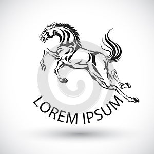Horse logo Vector