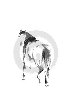 Horse looking back Japanese style original sumi-e ink painting.