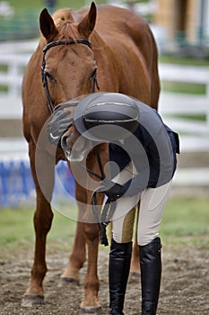 Horse Love in the Showmanship Ring photo