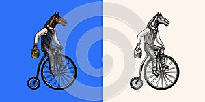 A horse man in a suit rides a bicycle. Food delivery man. Fashion animal character. Hand drawn woodcut outline sketch